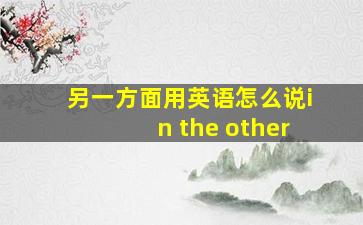 另一方面用英语怎么说in the other